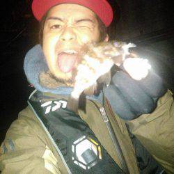 メバリングアジング